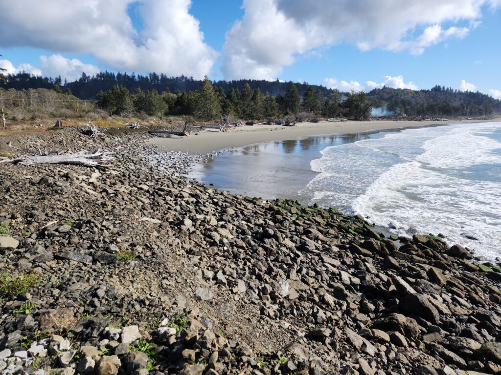 a rocky beach with trees and water (MyCoast AI)