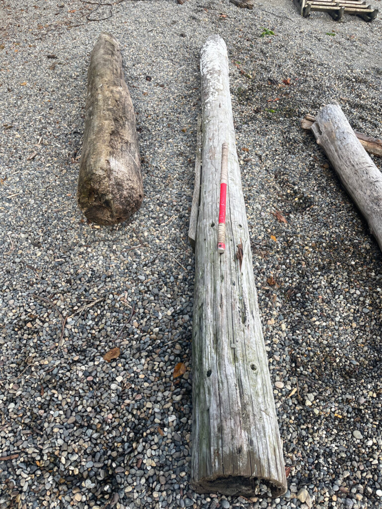 a couple of wooden boards on the ground (MyCoast AI)
