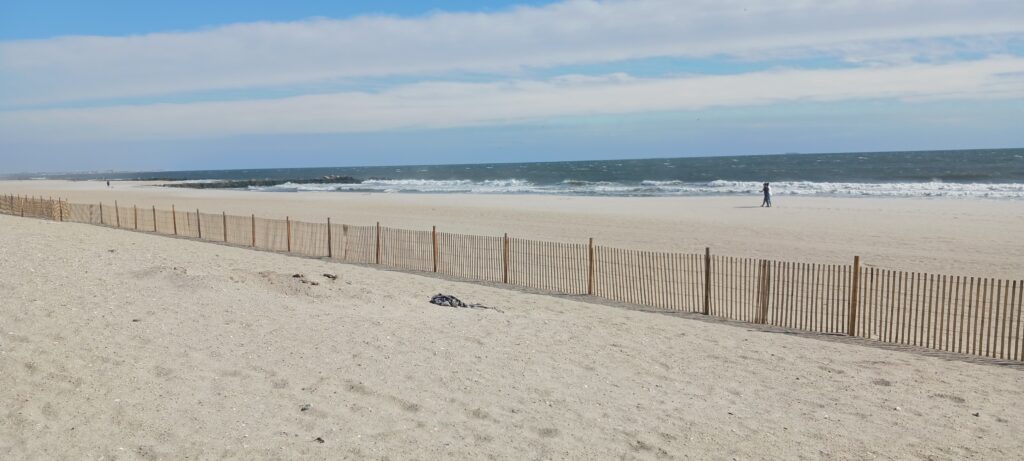 a person walking on a beach (MyCoast AI)