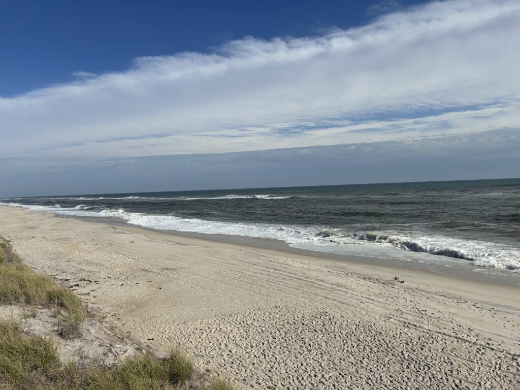 a beach with waves crashing on it (MyCoast AI)