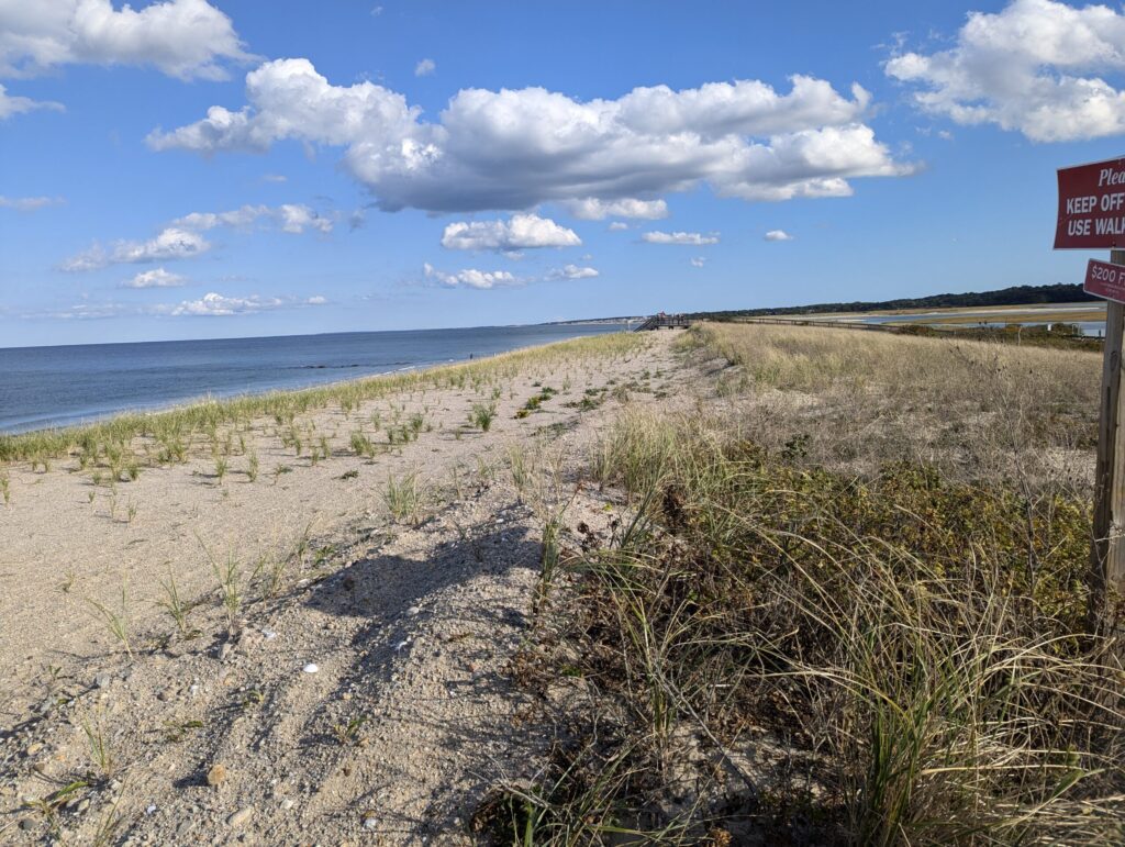 a dirt road next to a beach (MyCoast AI)