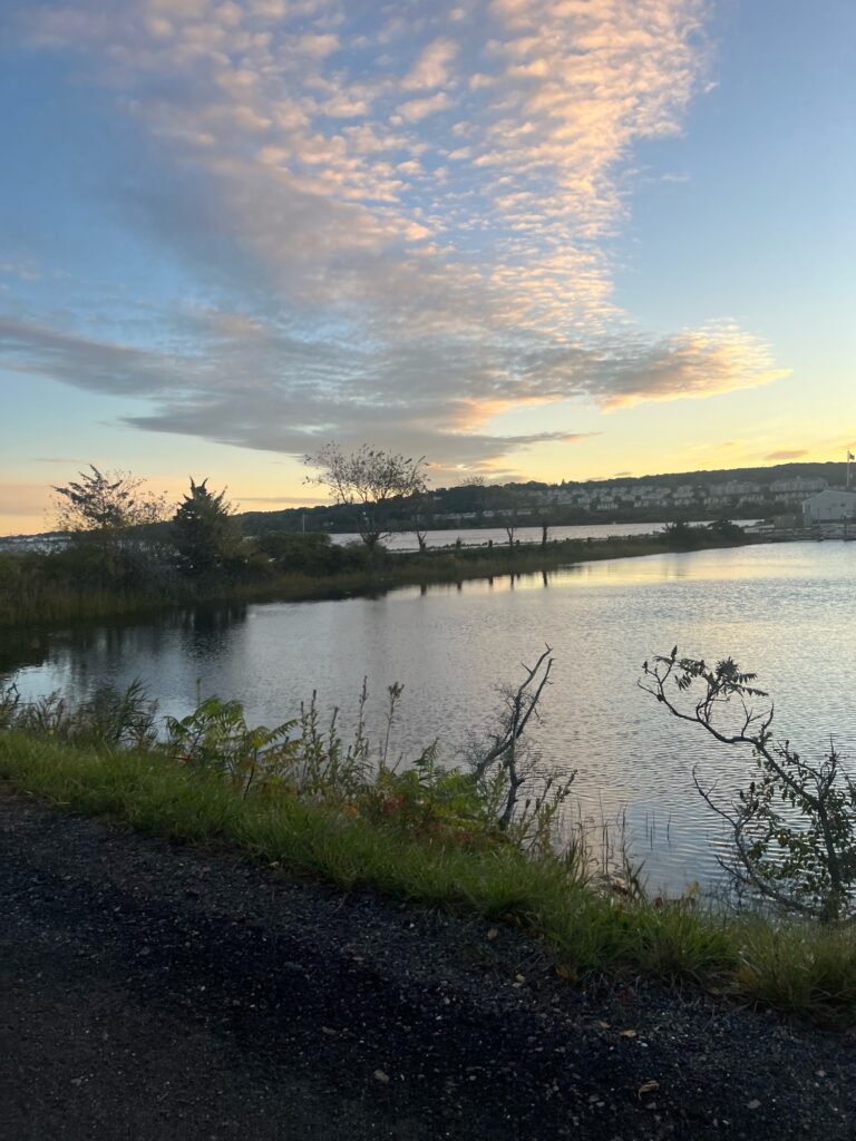 a body of water with grass and trees around it (MyCoast AI)