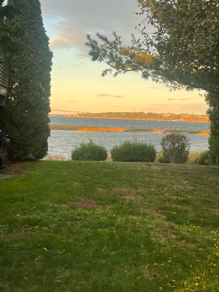 a grassy area with trees and a body of water in the background (MyCoast AI)