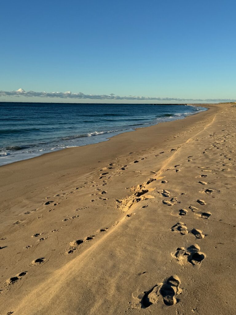 a sandy beach with footprints (MyCoast AI)