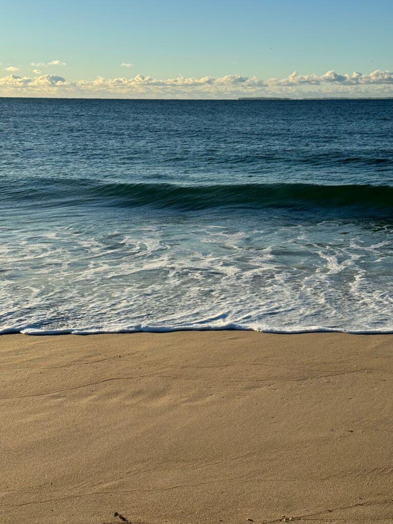 waves crashing on a beach (MyCoast AI)