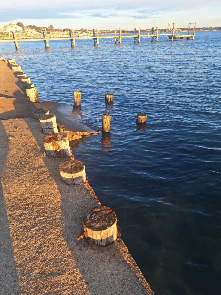 a dock with logs in the water (MyCoast AI)