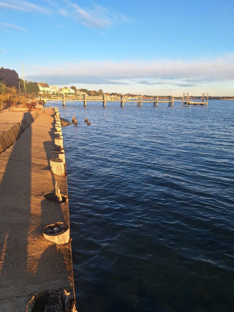a body of water with a dock and people swimming in it (MyCoast AI)