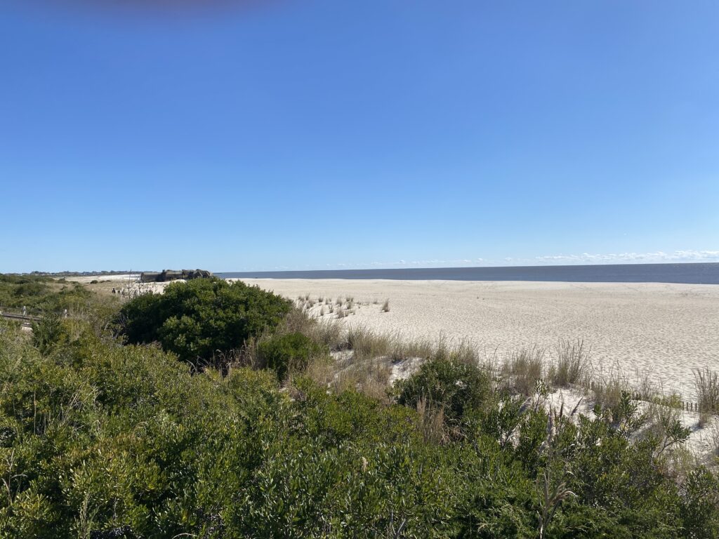 a landscape with trees and bushes (MyCoast AI)