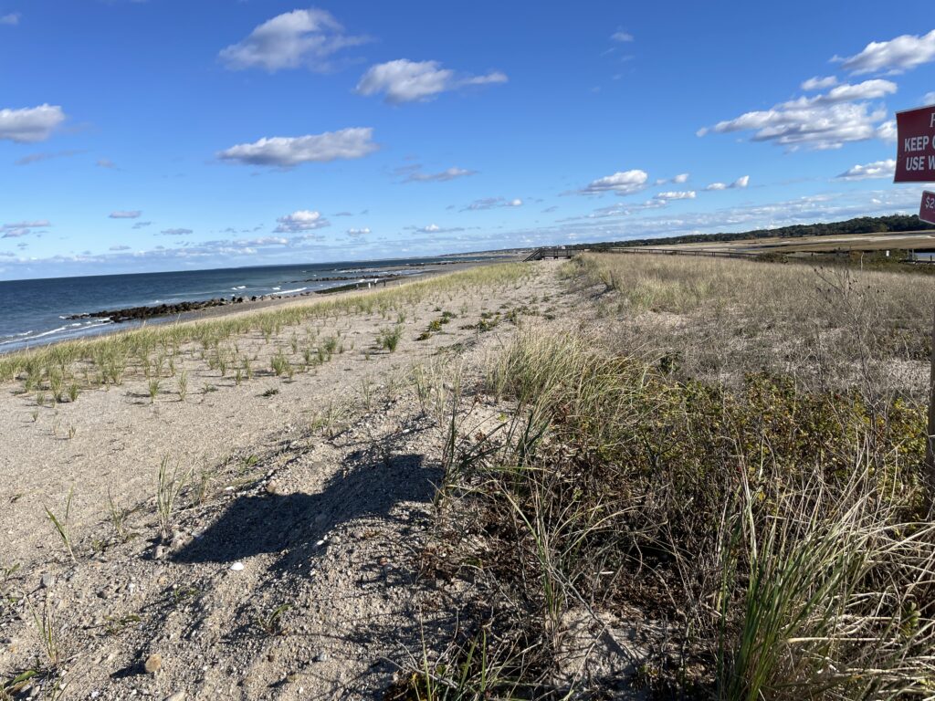 a sandy beach with grass and water (MyCoast AI)