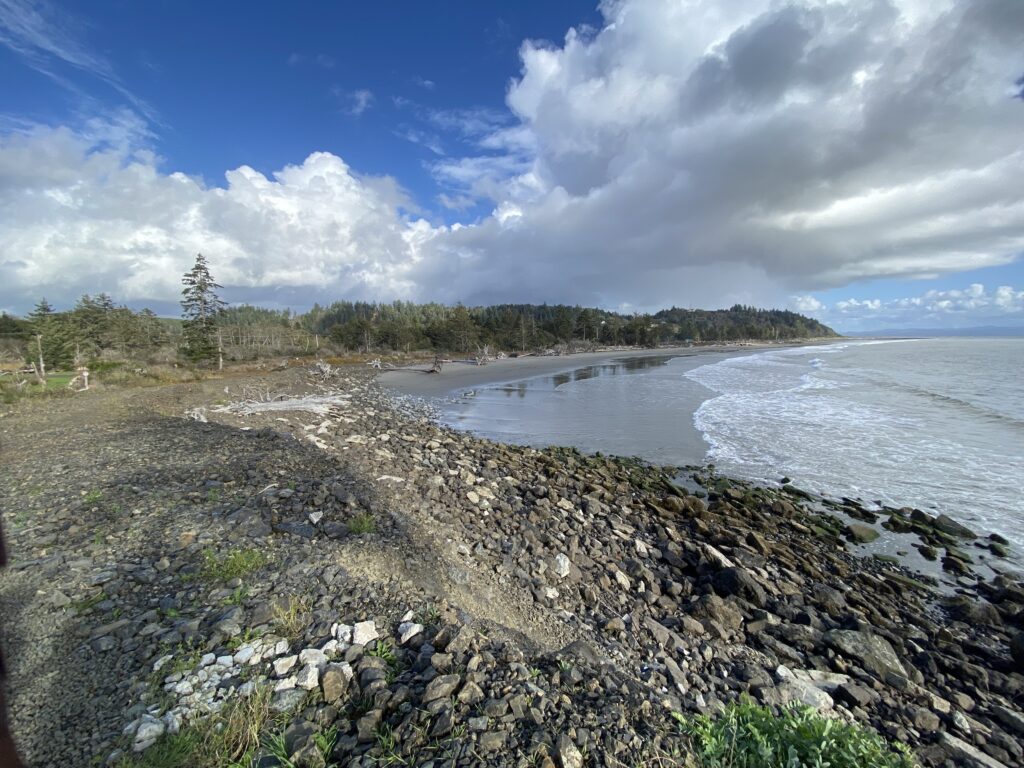 a rocky beach with trees and water (MyCoast AI)