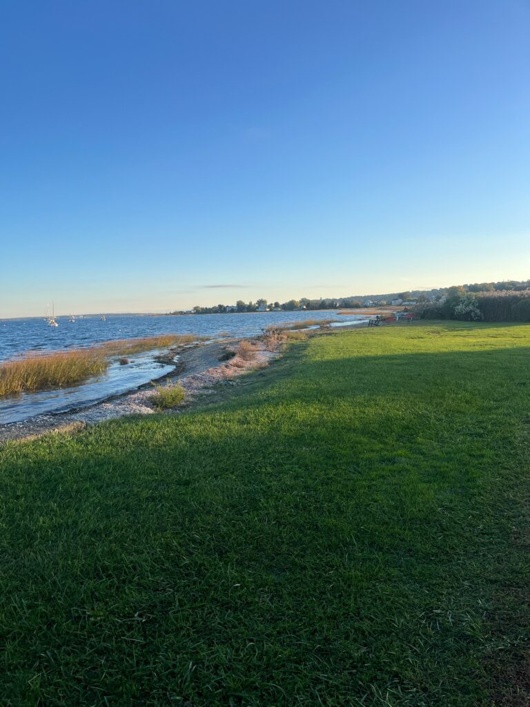 a grassy area next to a body of water (MyCoast AI)