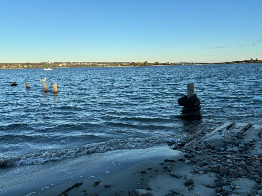 a body of water with rocks and a pipe in it (MyCoast AI)