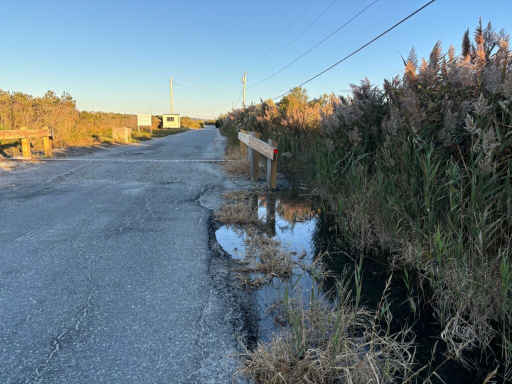 a road with water on the side (MyCoast AI)