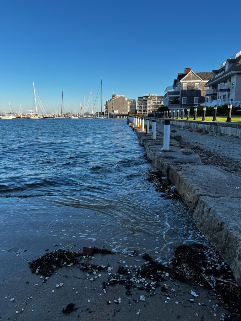 a body of water with boats in it and buildings along it (MyCoast AI)