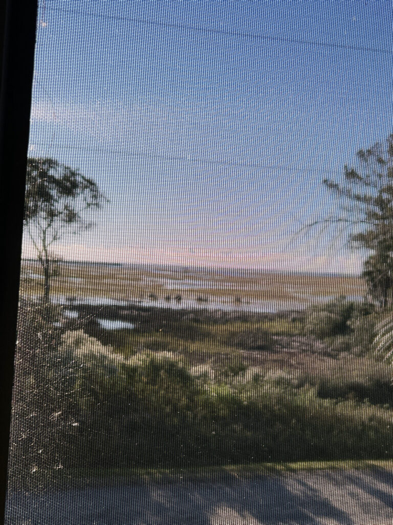 a blurry picture of a field (MyCoast AI)