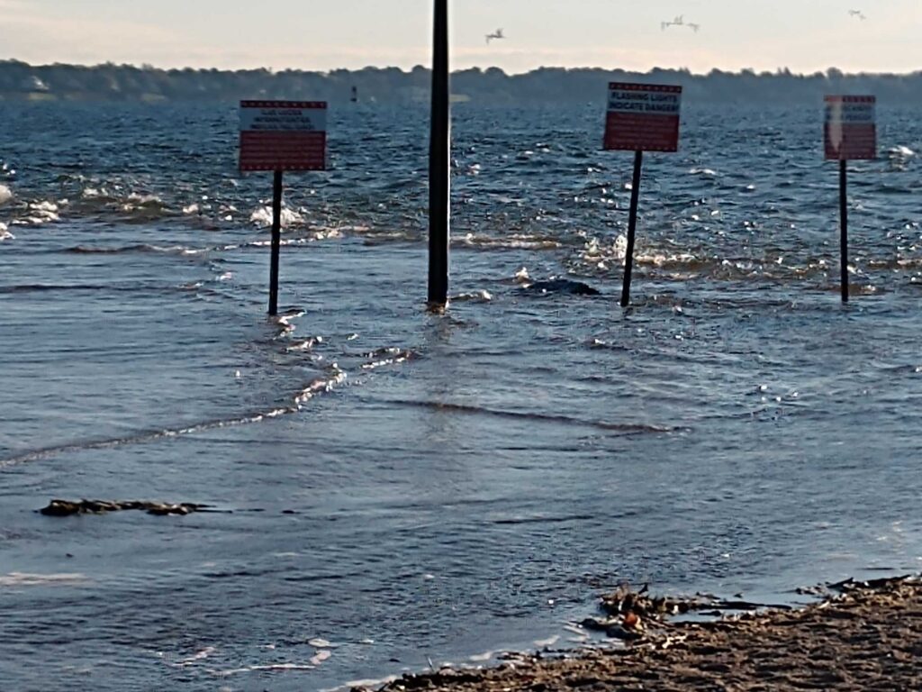 a group of signs in the water (MyCoast AI)