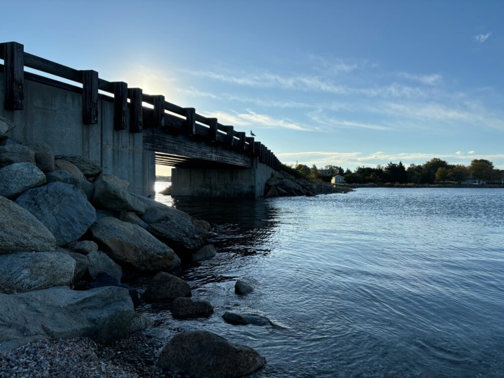 a bridge over a body of water (MyCoast AI)