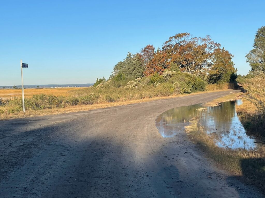 a road with a puddle on the side and trees on the side (MyCoast AI)