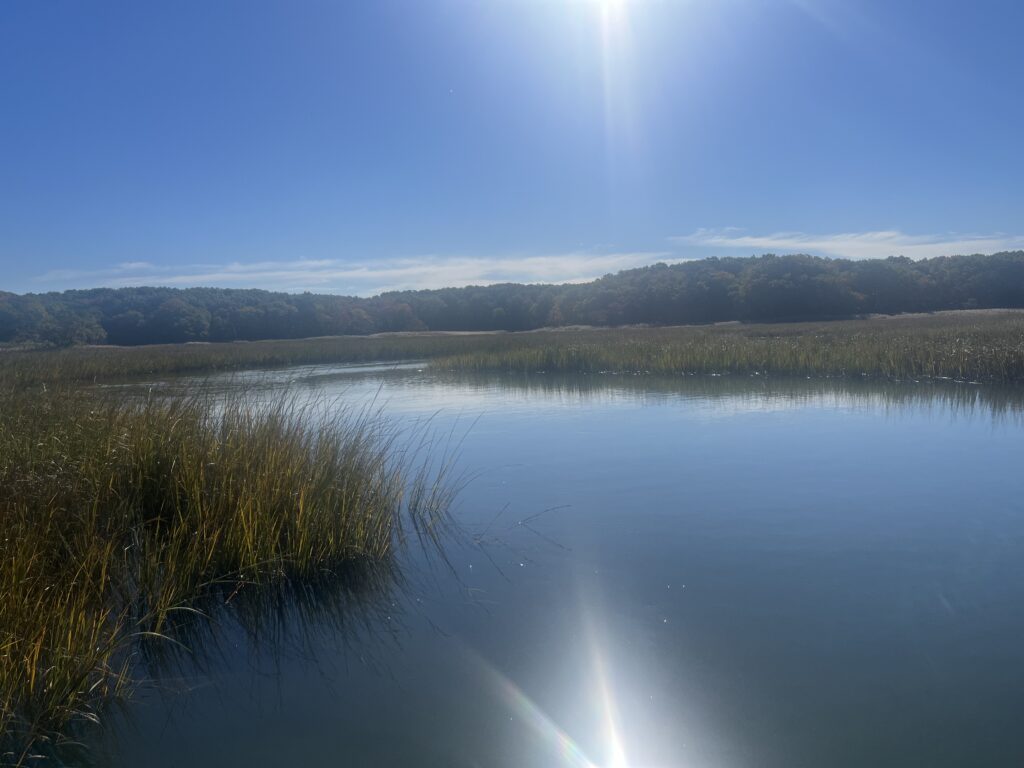 a body of water with grass and trees around it (MyCoast AI)