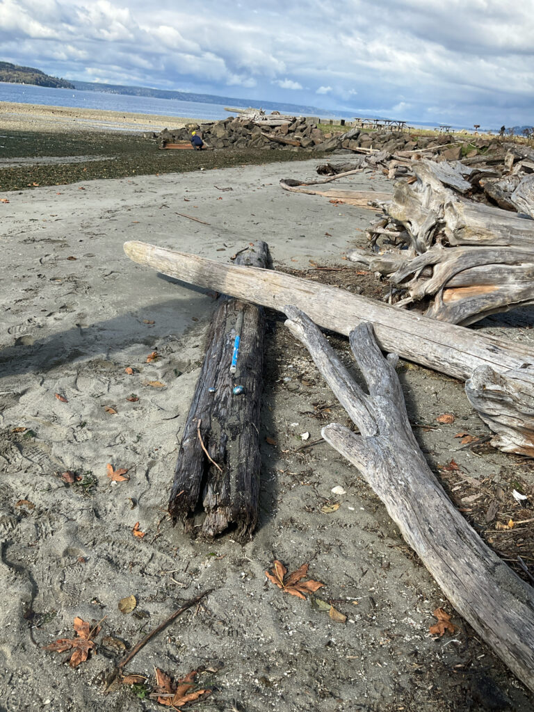 a wooden bench on a beach (MyCoast AI)