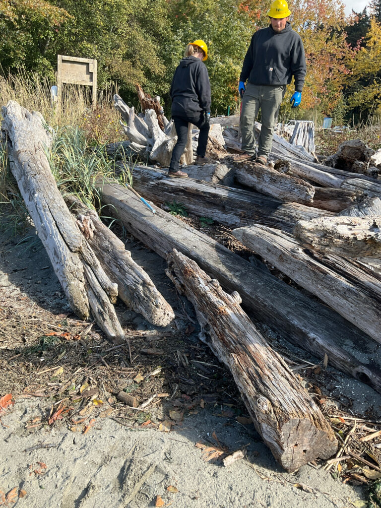 two men standing next to a fallen tree (MyCoast AI)