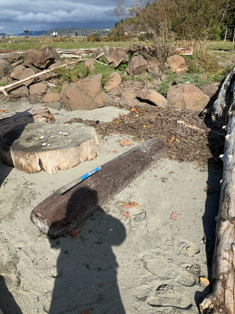 a group of rocks and a person's shadow on a rocky surface (MyCoast AI)