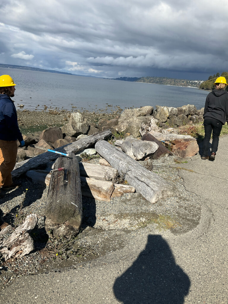 a group of people standing next to a pile of logs on a beach (MyCoast AI)