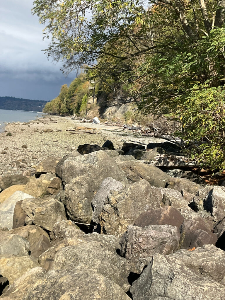a rocky beach with trees (MyCoast AI)