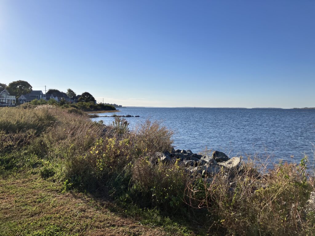 a grassy area next to a body of water (MyCoast AI)