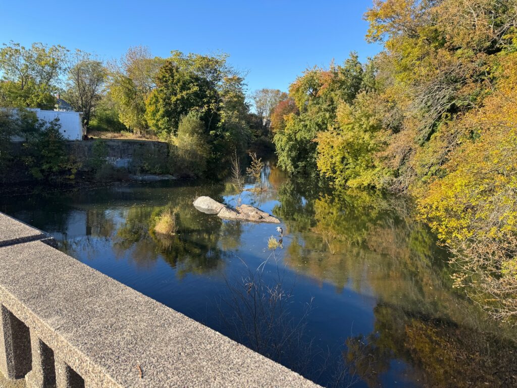 a river with trees on the side (MyCoast AI)