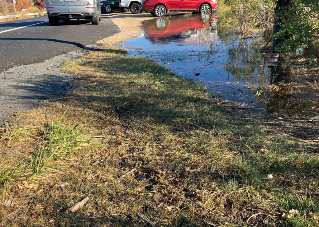 a puddle of water on the side of a road (MyCoast AI)