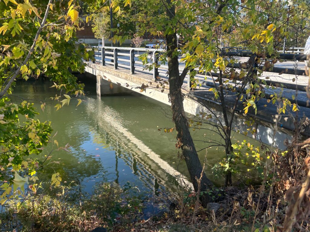 a river with a bridge over it (MyCoast AI)