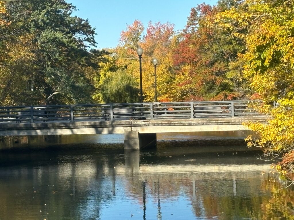 a bridge over a river (MyCoast AI)