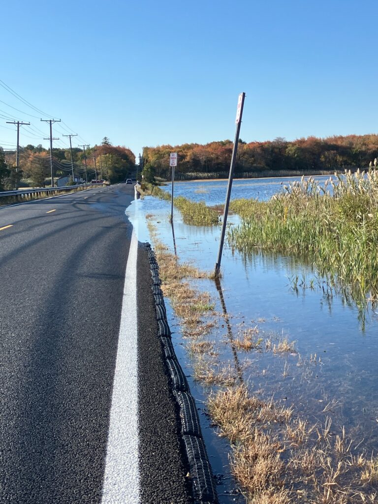 a road with water on the side (MyCoast AI)