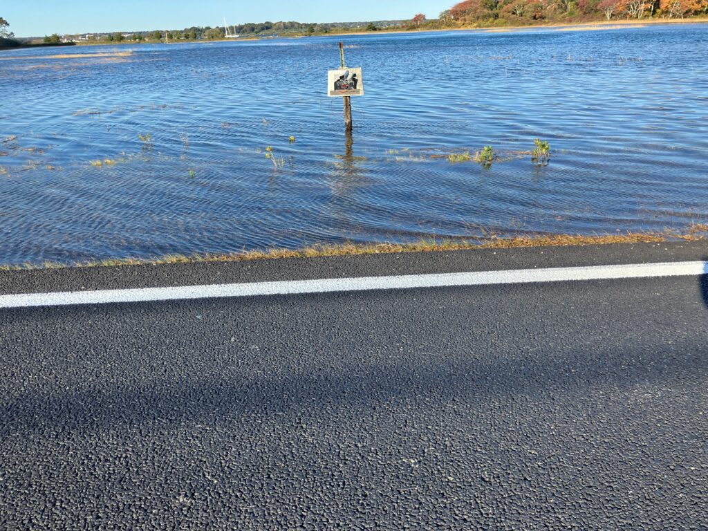 a road next to a body of water (MyCoast AI)