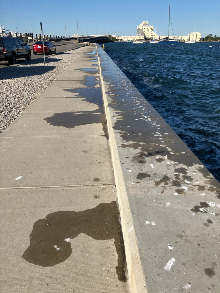 a concrete walkway next to a body of water (MyCoast AI)