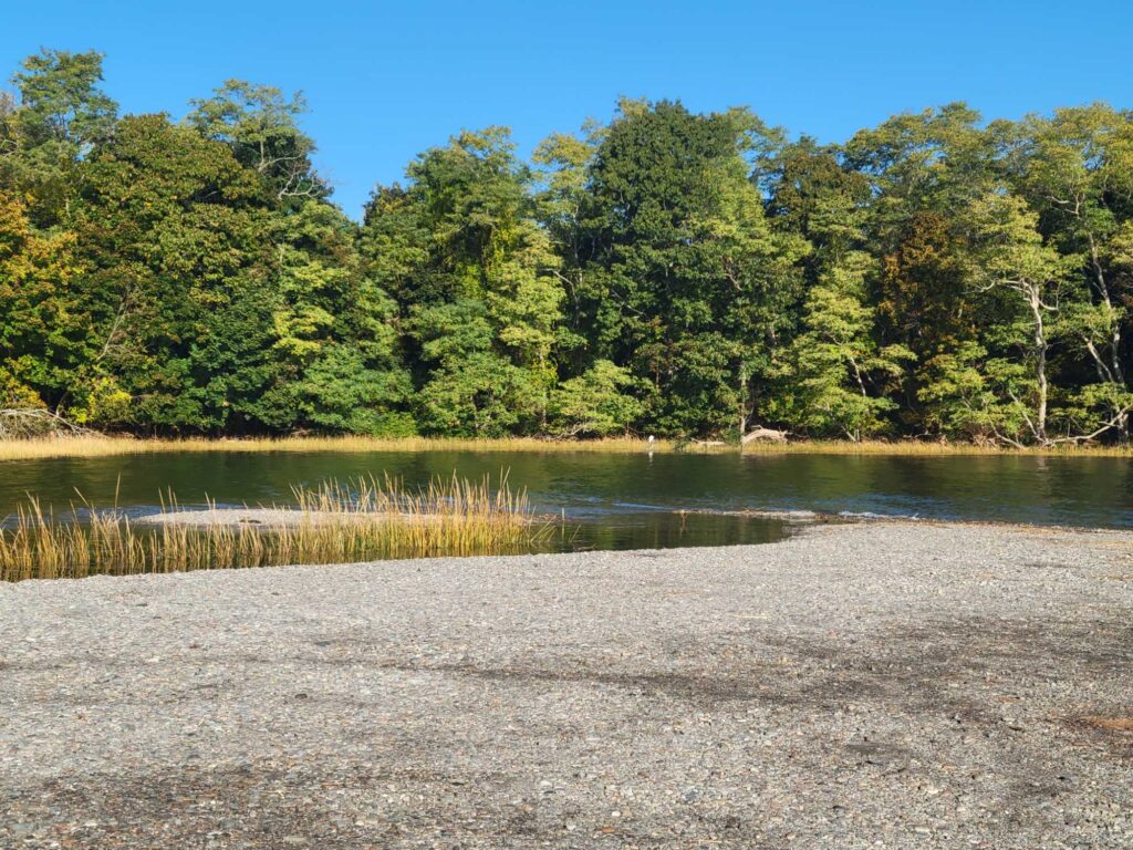a body of water with trees in the back (MyCoast AI)
