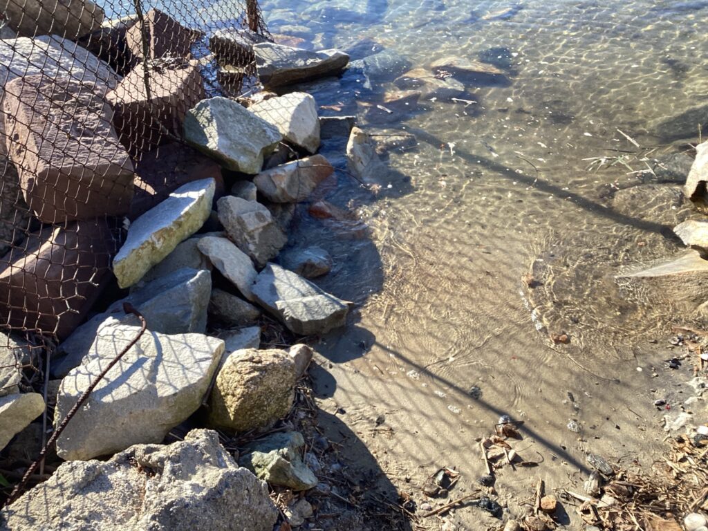 a pile of rocks (MyCoast AI)