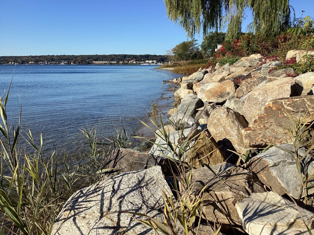 a rocky shoreline with a body of water in the background (MyCoast AI)