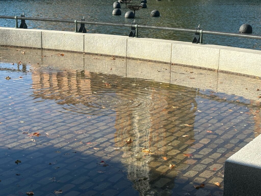 a puddle of water on a sidewalk (MyCoast AI)