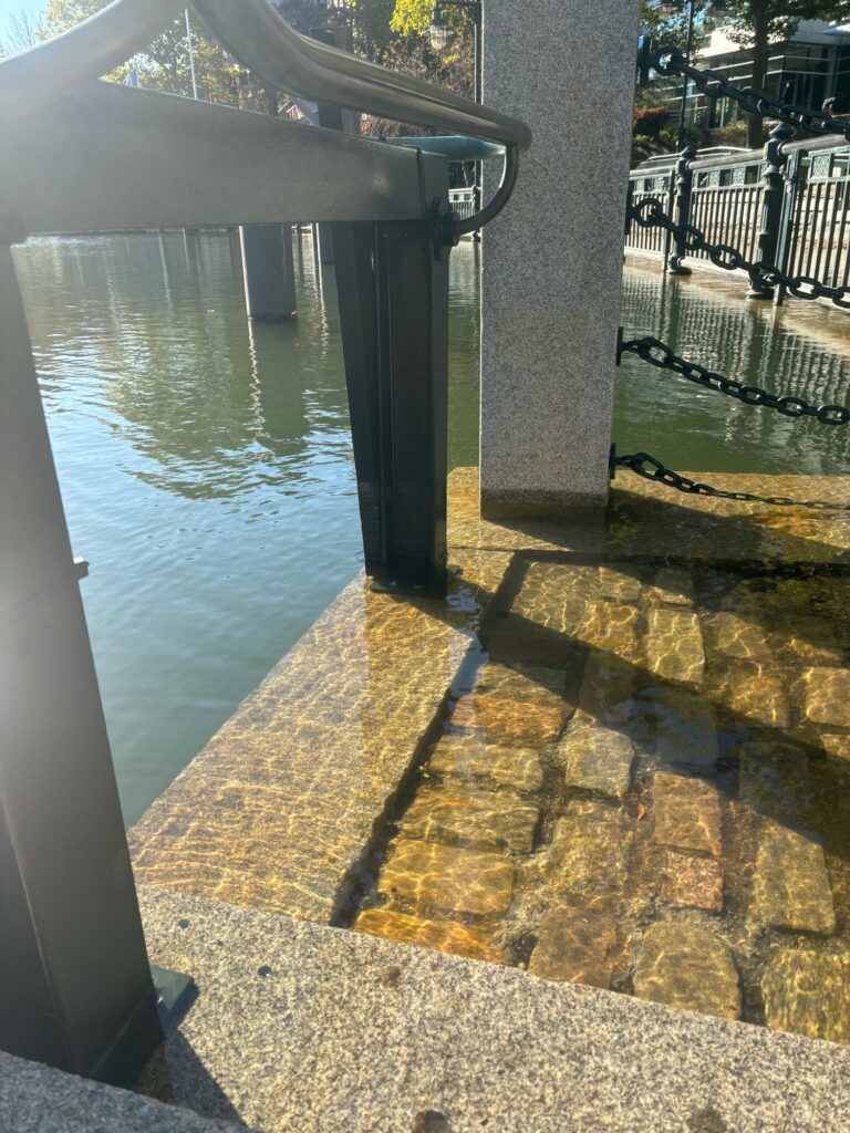 a pool of water (MyCoast AI)
