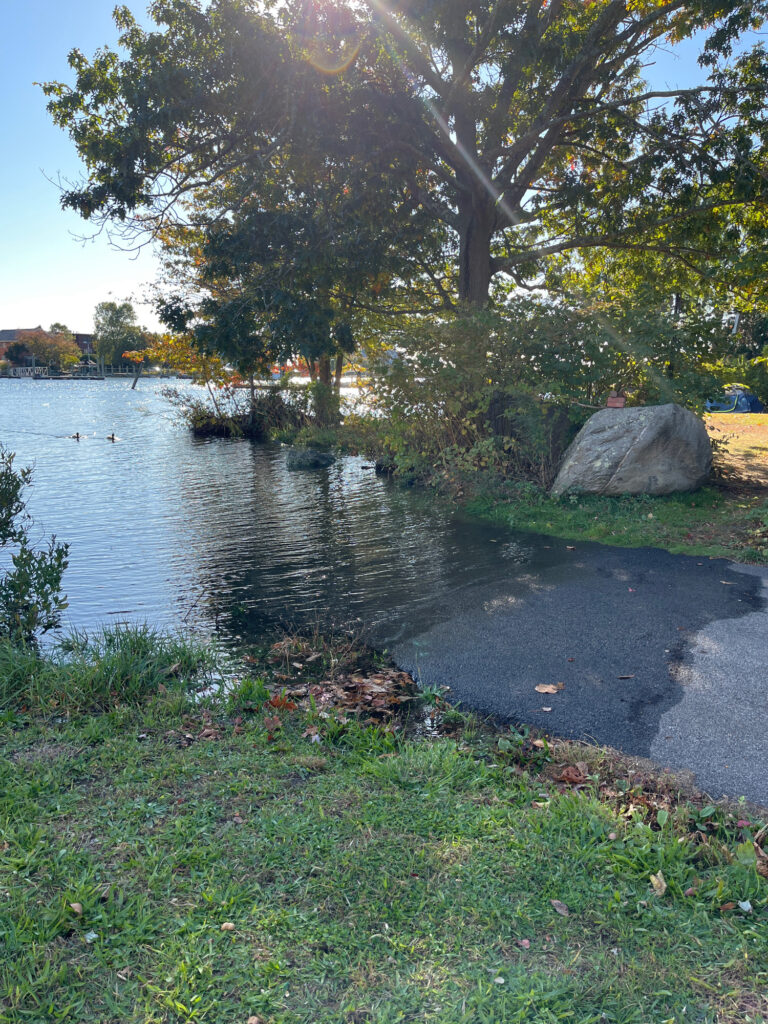 a tree next to a body of water (MyCoast AI)