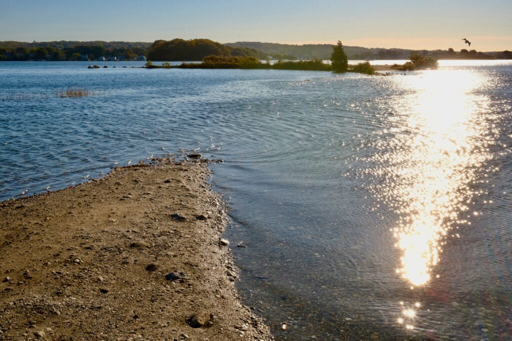 a beach with a body of water (MyCoast AI)