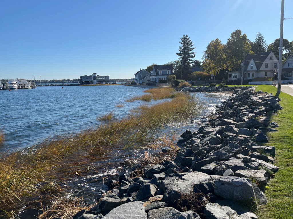 a rocky shore with houses and trees (MyCoast AI)