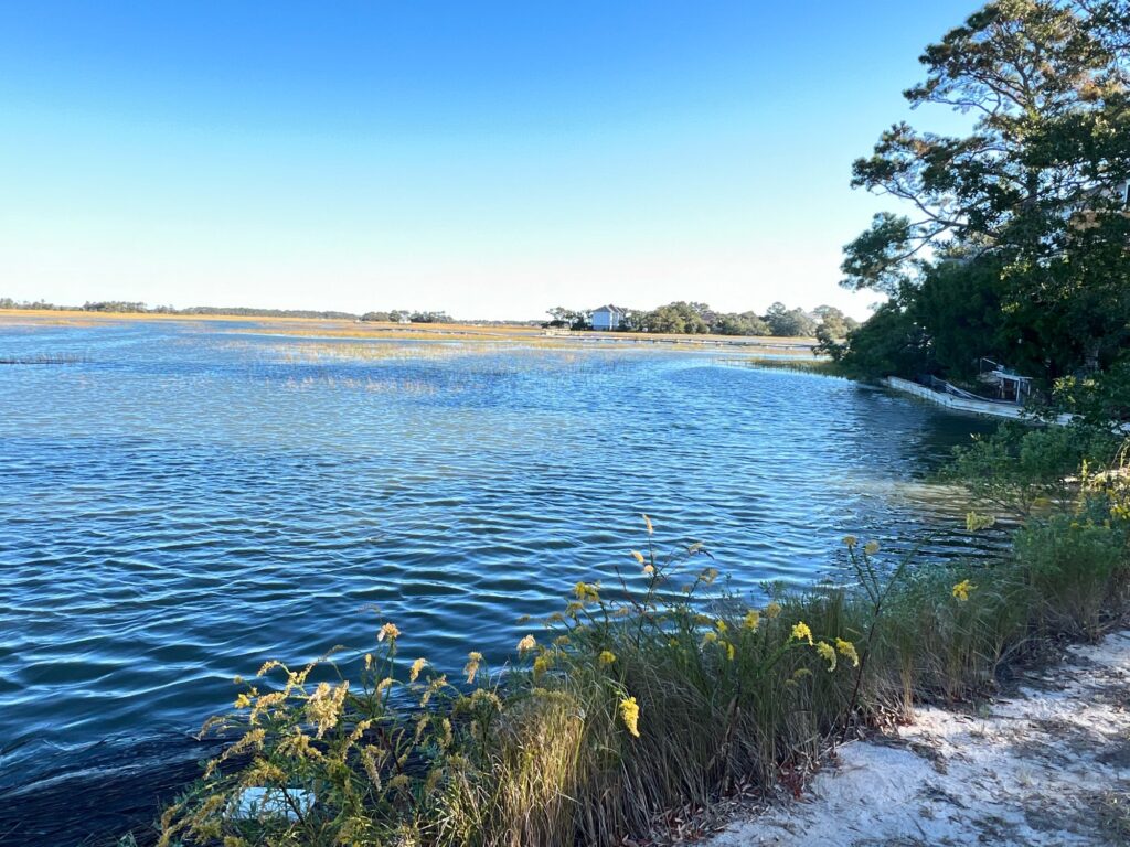 a body of water with plants and trees around it (MyCoast AI)