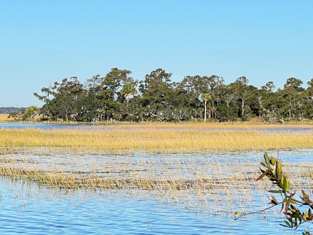 a body of water with trees in the background (MyCoast AI)