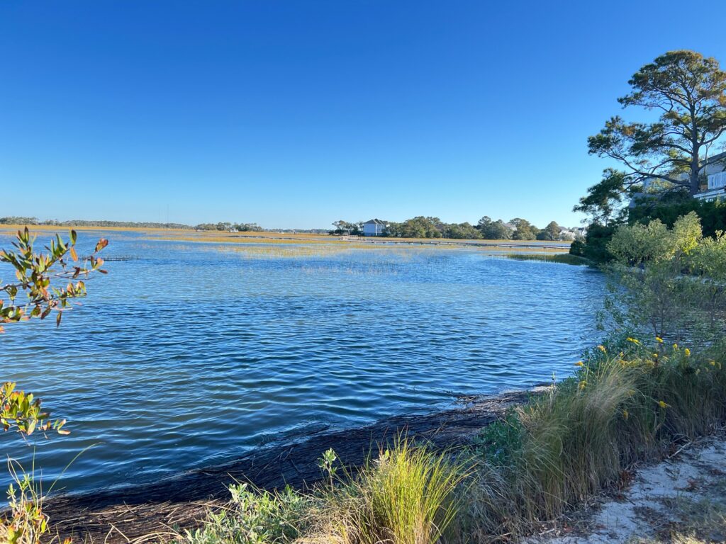 a body of water with plants and trees around it (MyCoast AI)
