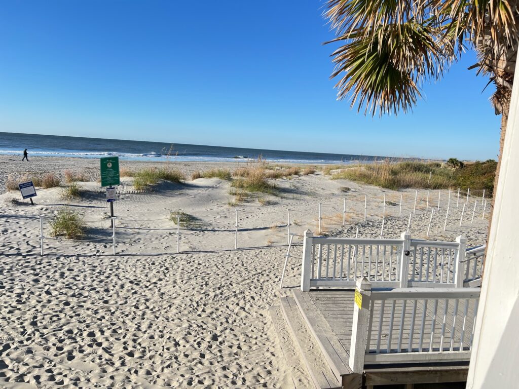 a beach with a bench and a palm tree (MyCoast AI)