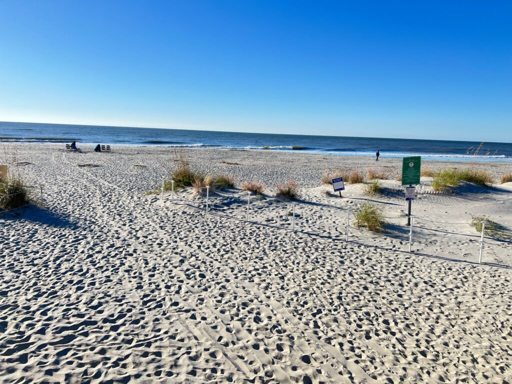a sandy beach with bushes and a sign (MyCoast AI)