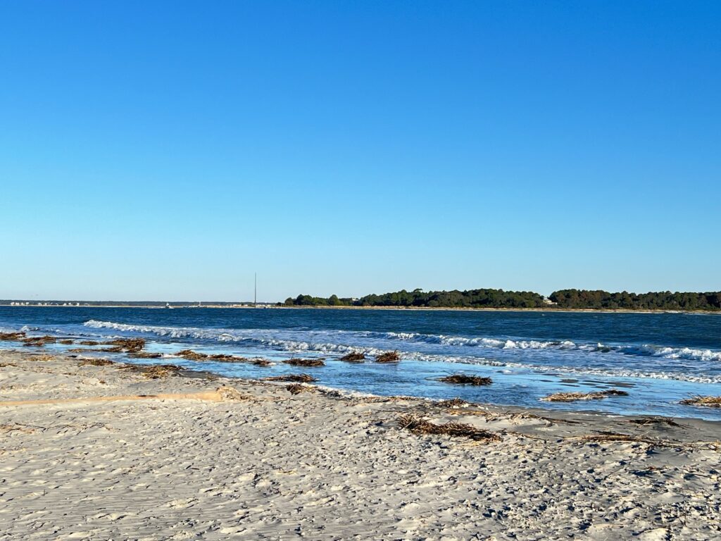 a beach with a body of water (MyCoast AI)
